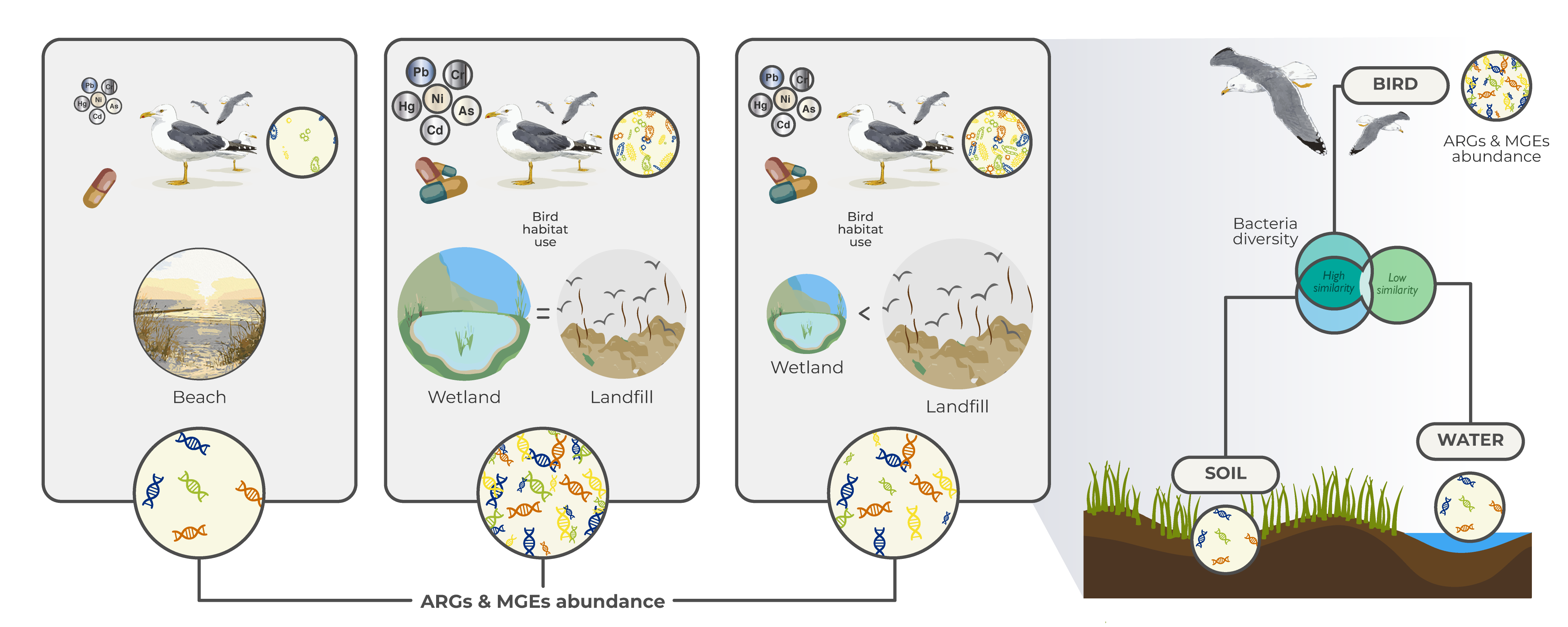 graphical-abstract